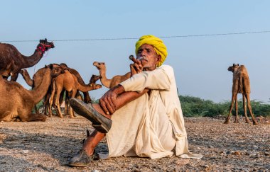 Pushkar, Rajasthan / India - November 2019 : Portrait of an old rajasthani man smoking at fair ground in yellow turban and ethnic rajasthan white dress for male with camels in the background