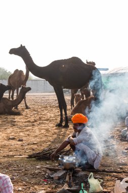 Pushkar, Rajasthan / Hindistan - Kasım 2019: Pulkar deve fuarı.