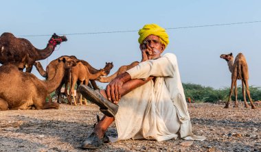 Pushkar, Rajasthan / India - November 2019 : Portrait of an old rajasthani man smoking at fair ground in yellow turban and ethnic rajasthan white dress for male with camels in the background