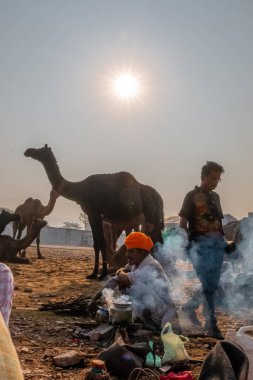 Puşkar, Rajasthan / Hindistan - Kasım 2019: Hintliler develer fuarında 2019.