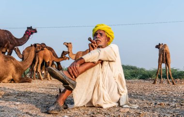 Pushkar, Rajasthan / India - November 2019 : Portrait of an old rajasthani man smoking at fair ground in yellow turban and ethnic rajasthan white dress for male with camels in the background