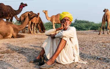 Pushkar, Rajasthan / India - November 2019 : Portrait of an old rajasthani man smoking at fair ground in yellow turban and ethnic rajasthan white dress for male with camels in the background