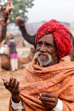 Pushkar, Rajasthan / Hindistan - Kasım 2019: Pulkar deve fuarı. 