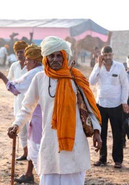 Pushkar, Rajasthan / India - November 2019 : Portrait of camel traders participating with their camels in pushkar camel fair in traditional white rajasthani dress and colorful pagadi (Turban) on their head 