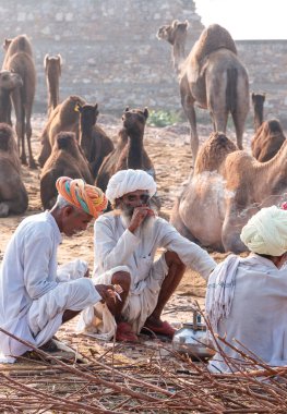 Puşkar, Rajasthan / Hindistan - Kasım 2019: Hintliler develer fuarında 2019.