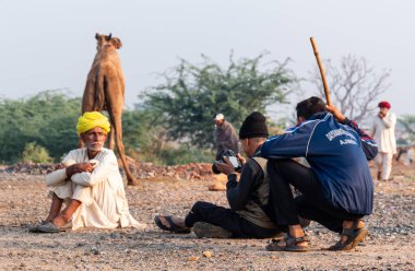 Pushkar, Rajasthan / India - November 2019 : Portrait of camel traders participating with their camels in pushkar camel fair in traditional white rajasthani dress and colorful pagadi (Turban) on their head 