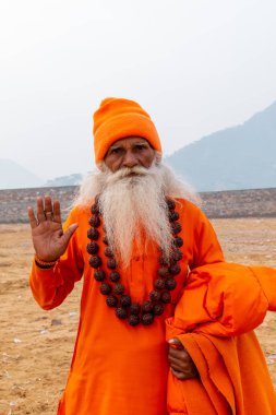 Pushkar, Rajasthan / Hindistan - Kasım 2019: Pulkar deve fuarı. 