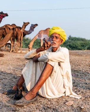Pushkar, Rajasthan / India - November 2019 : Portrait of an old rajasthani man smoking at fair ground in yellow turban and ethnic rajasthan white dress for male with camels in the background