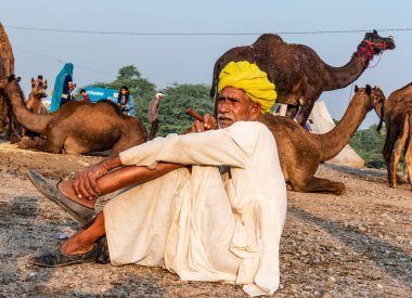 Pushkar, Rajasthan / India - November 2019 : Portrait of an old rajasthani man smoking at fair ground in yellow turban and ethnic rajasthan white dress for male with camels in the background