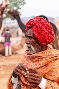 Pushkar, Rajasthan / Hindistan - Kasım 2019: Pulkar deve fuarı. 