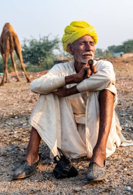 Pushkar, Rajasthan / India - November 2019 : Portrait of an old rajasthani man smoking at fair ground in yellow turban and ethnic rajasthan white dress for male with camels in the background