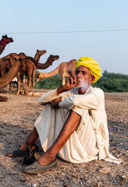Pushkar, Rajasthan / India - November 2019 : Portrait of an old rajasthani man smoking at fair ground in yellow turban and ethnic rajasthan white dress for male with camels in the background