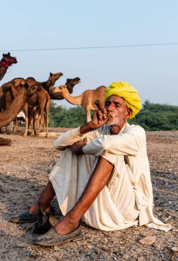 Pushkar, Rajasthan / India - November 2019 : Portrait of an old rajasthani man smoking at fair ground in yellow turban and ethnic rajasthan white dress for male with camels in the background