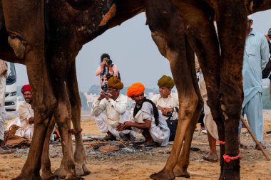 Pushkar, Rajasthan / Hindistan - Kasım 2019: Pulkar deve fuarı 2019. Yerel halk
