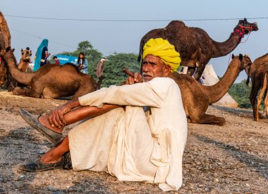 Pushkar, Rajasthan / India - November 2019 : Portrait of an old rajasthani man smoking at fair ground in yellow turban and ethnic rajasthan white dress for male with camels in the background