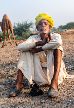 Pushkar, Rajasthan / India - November 2019 : Portrait of an old rajasthani man smoking at fair ground in yellow turban and ethnic rajasthan white dress for male with camels in the background