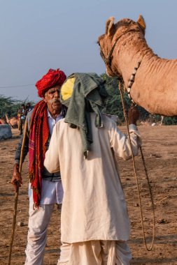Pushkar, Rajasthan / India - November 2019 : Portrait of rajasthani camel owner/trader in colorful turban and white dress with big mustache participating in camel trading fair