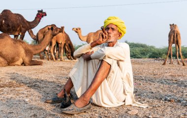 Pushkar, Rajasthan / India - November 2019 : Portrait of an old rajasthani man smoking at fair ground in yellow turban and ethnic rajasthan white dress for male with camels in the background