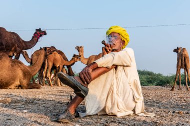 Pushkar, Rajasthan / India - November 2019 : Portrait of an old rajasthani man smoking at fair ground in yellow turban and ethnic rajasthan white dress for male with camels in the background