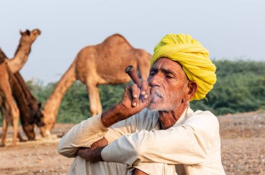 Pushkar, Rajasthan / India - November 2019 : Portrait of an old rajasthani man smoking at fair ground in yellow turban and ethnic rajasthan white dress for male with camels in the background