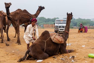 Pushkar, Rajasthan / Hindistan - Kasım 2019: Pulkar deve fuarı. 