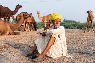Pushkar, Rajasthan / India - November 2019 : Portrait of an old rajasthani man smoking at fair ground in yellow turban and ethnic rajasthan white dress for male with camels in the background
