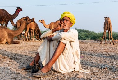 Pushkar, Rajasthan / India - November 2019 : Portrait of an old rajasthani man smoking at fair ground in yellow turban and ethnic rajasthan white dress for male with camels in the background