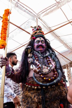 Puşkar, Rajasthan / Hindistan - Kasım 2019: Hindistan devesi fuarında Hintli adam