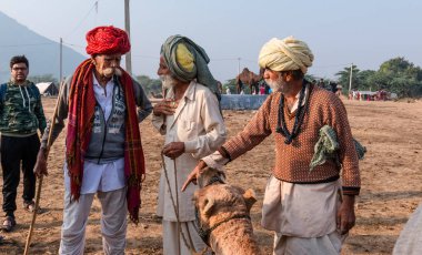 Pushkar, Rajasthan / Hindistan - Kasım 2019: Pulkar deve fuarı 2019. Yerel halk