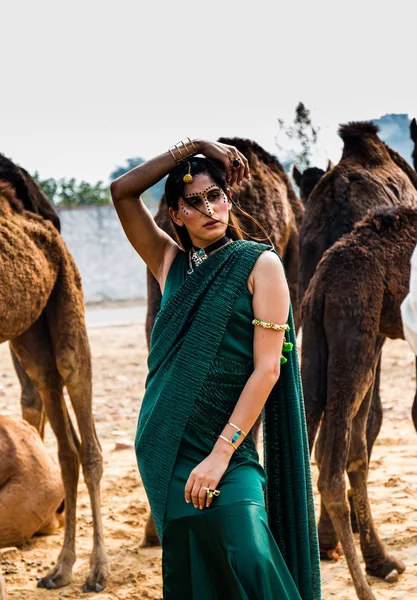 Pushkar Rajasthan Hindistan Kasım 2019 Pulkar Deve Fuarı 2019 Yerli — Stok fotoğraf