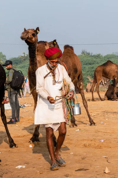 Pushkar Rajastão Índia Novembro 2019 Homem Indiano Feira Camelos Pushkar — Fotografia de Stock