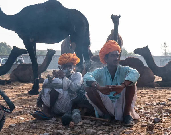 Pushkar Rajasthan Indie Listopad 2019 Indianie Targach Wielbłądów Pushkar 2019 — Zdjęcie stockowe
