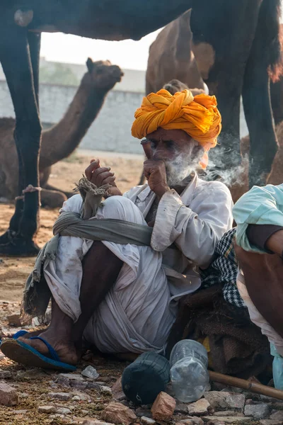 Pushkar Rajastán India Noviembre 2019 Feria Camellos Pushkar 2019 Local —  Fotos de Stock