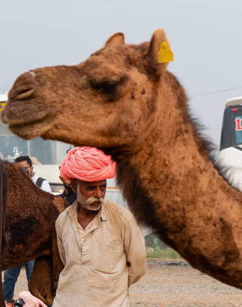 Pushkar Rajastão Índia Novembro 2019 Pushkar Camelo Justo 2019 Homem — Fotografia de Stock