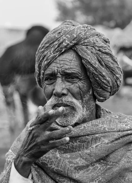 Pushkar Rajastán India Noviembre 2019 Feria Camellos Pushkar 2019 Local — Foto de Stock