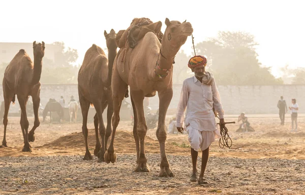 Pushkar Rajasthan India November 2019 Pushkar Verel Fair 2019 Місцевий — стокове фото