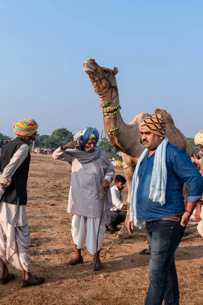 Pushkar Rajastán India Noviembre 2019 India Feria Camellos Pushkar 2019 — Foto de Stock