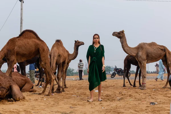 Pushkar Rajasthan India November 2019 Pushkar Fair Ground 낙타와 포즈를 — 스톡 사진