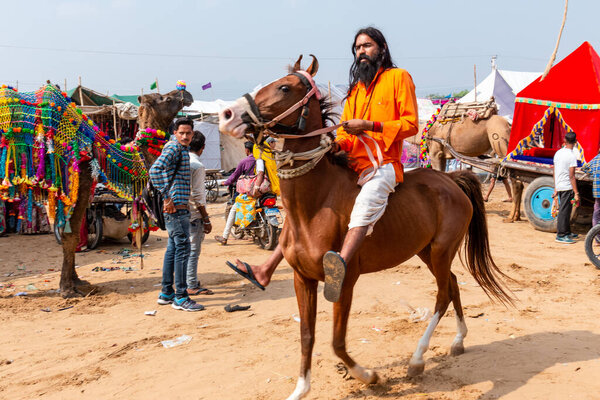 Пушкар, Раджастан / Индия - ноябрь 2019 года: Лошадь, несущая лошадь на ярмарке верблюдов Пушкар
