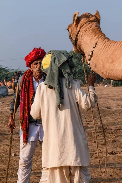 Pushkar Rajastán India Noviembre 2019 Retrato Del Propietario Comerciante Camellos — Foto de Stock