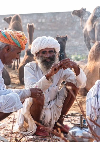 Пушкар Раджастан Индия Ноябрь 2019 Года Индийцы Выставке Верблюдов Пушкар — стоковое фото
