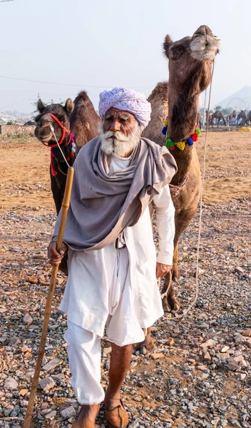 Pushkar Rajasthan Indien November 2019 Push Kar Kamelmässa 2019 Lokal — Stockfoto