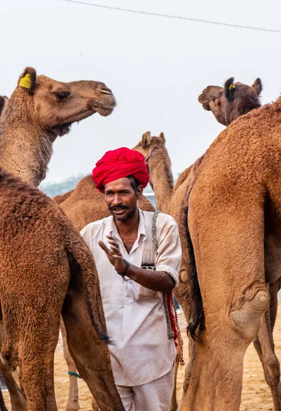 Pushkar Rajastão Índia Novembro 2019 Pushkar Camelo Justo 2019 Homem — Fotografia de Stock