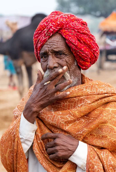 Pushkar Rajastán India Noviembre 2019 Feria Camellos Pushkar 2019 Local — Foto de Stock