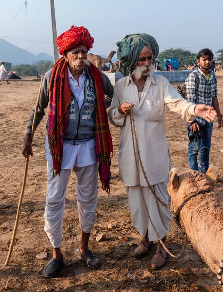 Pushkar Rajastán India Noviembre 2019 Feria Camellos Pushkar 2019 Local —  Fotos de Stock