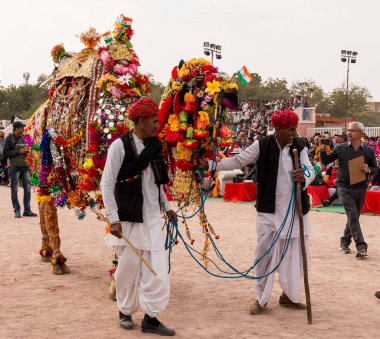 Bikaner, Rajasthan / Hindistan - Ocak 2019: Bikaner 'de düzenlenen yıllık deve festivalinde yerel ve uluslararası turistleri cezbetmek için deve dansı gösterisi