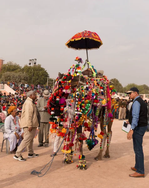Bikaner Rajasthan India January 2019 Διακοσμημένος Χορός Καμήλας Για Την — Φωτογραφία Αρχείου
