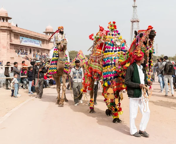 Bikaner Rajasthan Hindistan Ocak 2019 — Stok fotoğraf