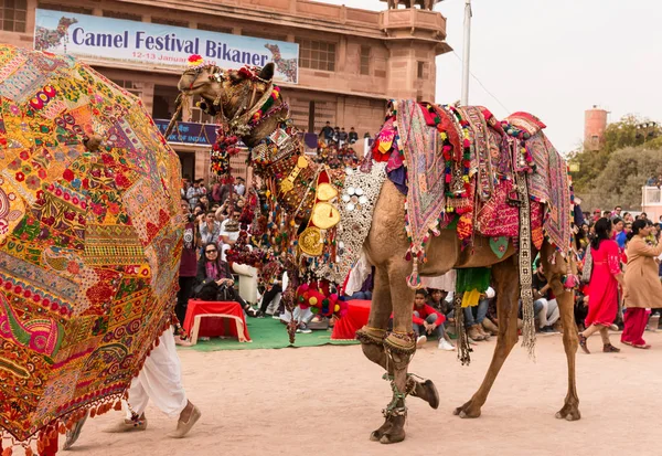 Bikaner Rajasthan India January 2019 Decorated Camel Bikaner Camel Festival — Φωτογραφία Αρχείου