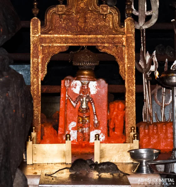 Bikaner Rajasthan India January 2019 Statue Karni Mata Temple — Zdjęcie stockowe